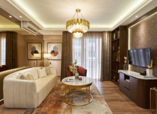 Area Living Room Contemporary Luxury